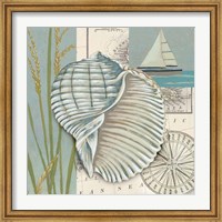 Seaside Shell I Fine Art Print