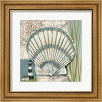 Seaside Shell II Fine Art Print