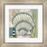Seaside Shell II Fine Art Print