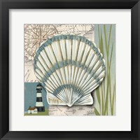 Seaside Shell II Framed Print