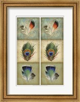 2-Up Feather Triptych I Fine Art Print
