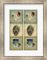 2-Up Feather Triptych I Fine Art Print