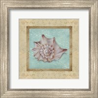 Shell & Damask II Fine Art Print