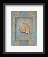 Shell & Damask Stripe I Fine Art Print