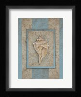 Shell & Damask Stripe II Framed Print