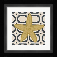 Marine Medley III Framed Print