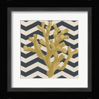 Marine Medley IV Framed Print