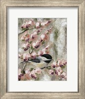 Cherry Blossom Bird I Fine Art Print