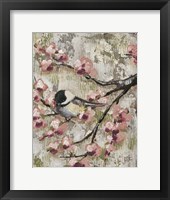 Cherry Blossom Bird II Framed Print