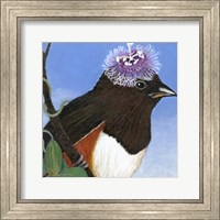 You Silly Bird - Donna Fine Art Print