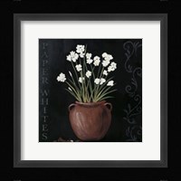 Paper Whites Fine Art Print