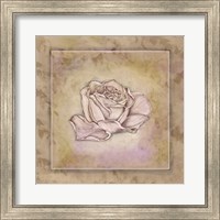 Rose Square III Fine Art Print