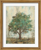 Verdi Trees I Fine Art Print