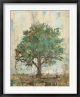 Verdi Trees I Framed Print