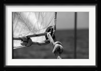 Loopholes Fine Art Print