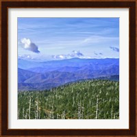 Great Smoky Mountains Fine Art Print