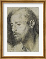 Study of the Head of a Bearded Man Fine Art Print