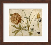 Flowers and Beetles Fine Art Print