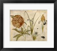 Flowers and Beetles Fine Art Print