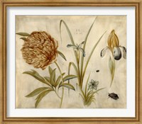 Flowers and Beetles Fine Art Print