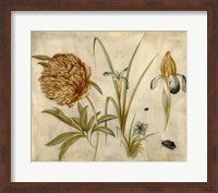 Flowers and Beetles Fine Art Print