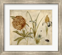 Flowers and Beetles Fine Art Print