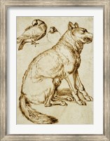 A Wolf and Two Doves Fine Art Print
