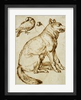 A Wolf and Two Doves Fine Art Print