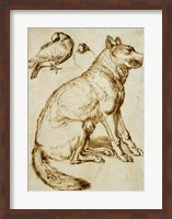 A Wolf and Two Doves Fine Art Print