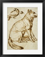 A Wolf and Two Doves Fine Art Print