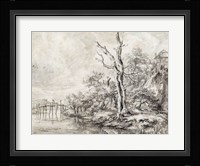 Dead Tree by a Stream at the Foot of a Hill Fine Art Print