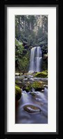 Beauchamp Falls Vert I Framed Print