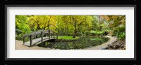 Alfred Nicholas Gardens Framed Print