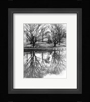 Central Park Lake Framed Print