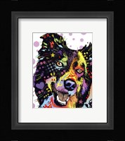 Border Collie 1 Fine Art Print