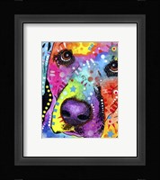 Closeup Labrador Fine Art Print