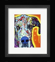 Great Dane Framed Print