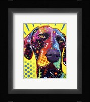 German Short Hair Pointer Framed Print