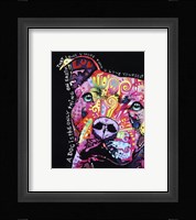 Thoughtful Pit Bull 1 Fine Art Print