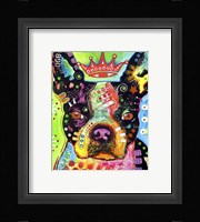 Boston Terrier Crowned Fine Art Print