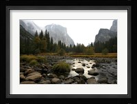 Yosemite Fine Art Print