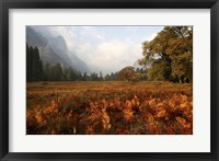 Meadow Fine Art Print