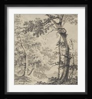 Wooded Landscape Fine Art Print