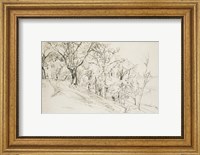 Forest in Boisremond Fine Art Print