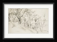 Forest in Boisremond Fine Art Print