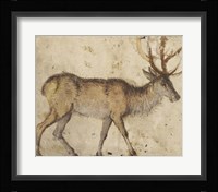 Study of a Stag Fine Art Print