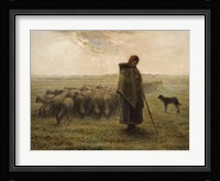 Shepherdess and Her Flock Fine Art Print