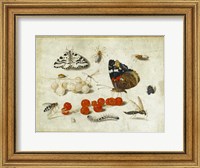 Butterflies, Insects, and Currants Fine Art Print