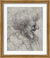 Caricature of a Man with Bushy Hair Fine Art Print