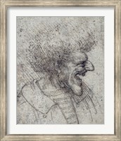 Caricature of a Man with Bushy Hair Fine Art Print